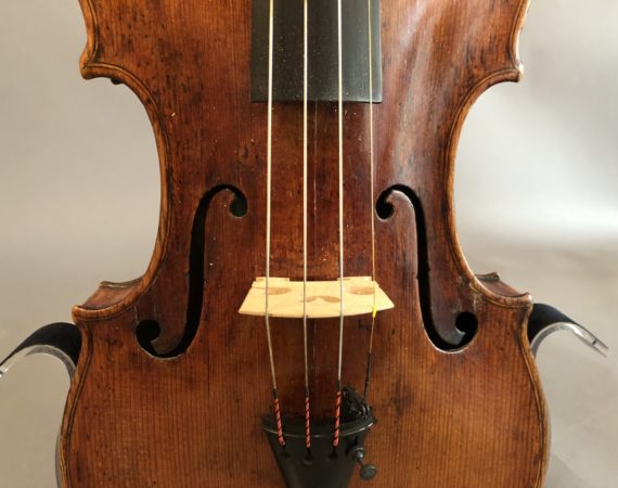 Matthias Albani violin